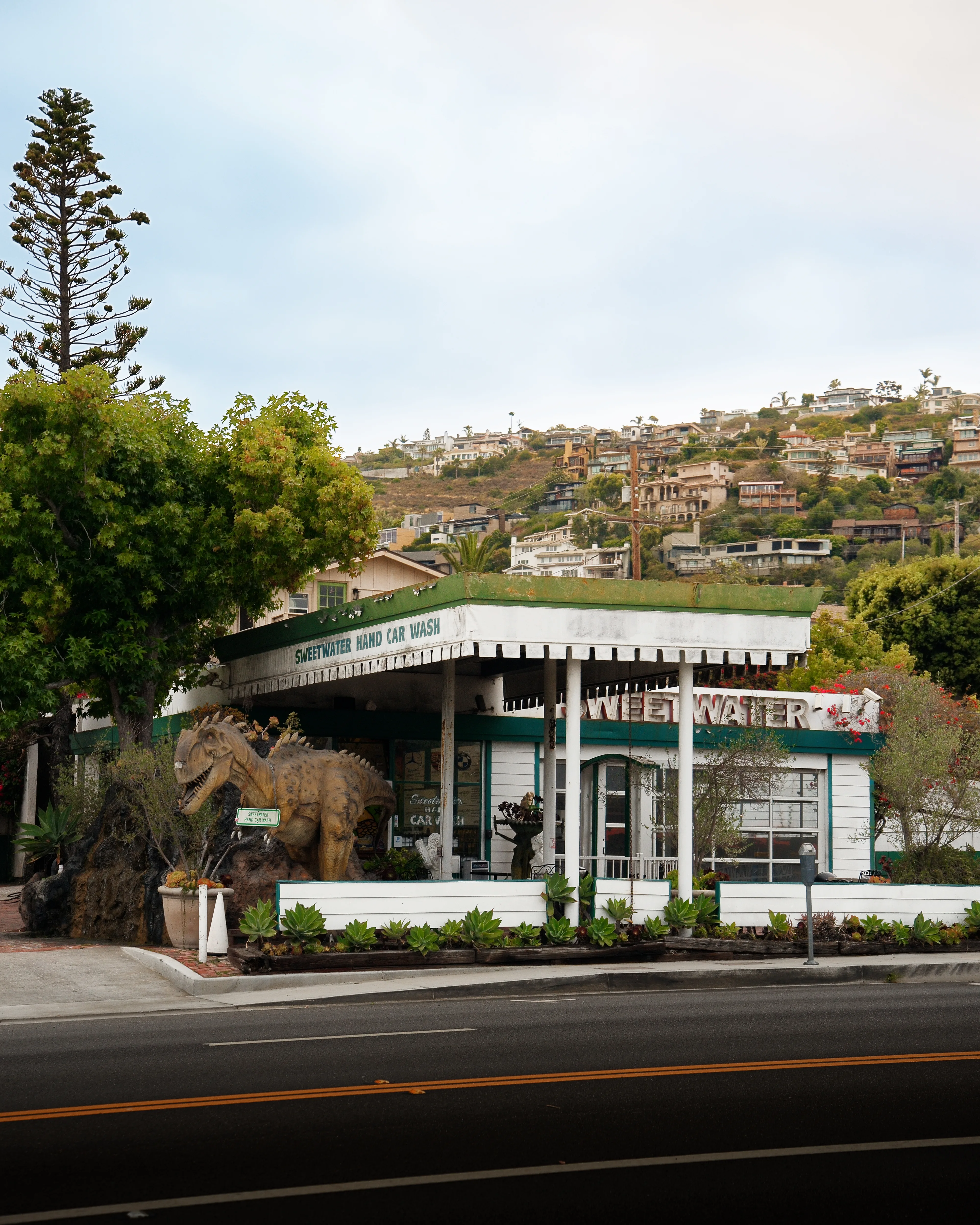 Sweetwater car wash — dinosaur and hillside homes
